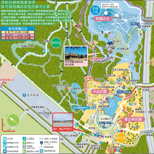 東京郊區|茨城國營常陸海濱公園、450萬朵粉蝶花、交通方式