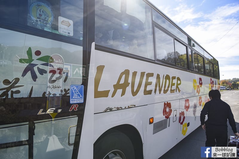 Lavender bus