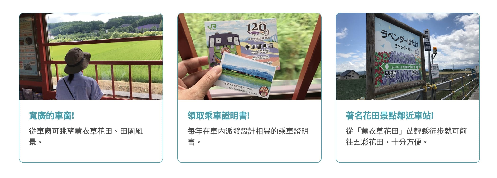富良野到美瑛、旭川兩種交通方式：JR北海道鐵路、富良野巴士
