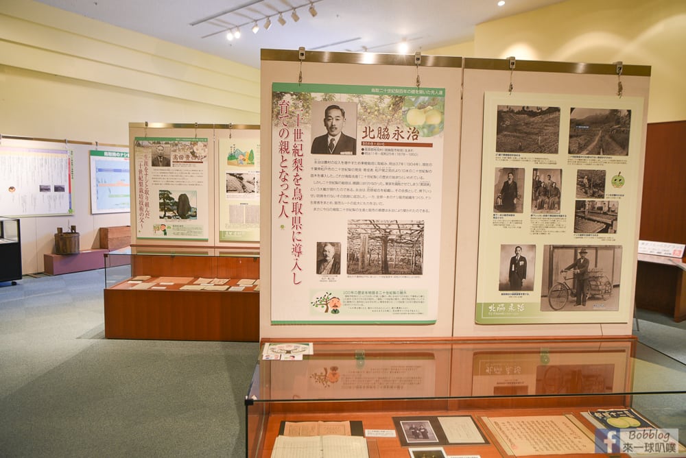 Tottori-Nijisseiki-Pear-Museum-16