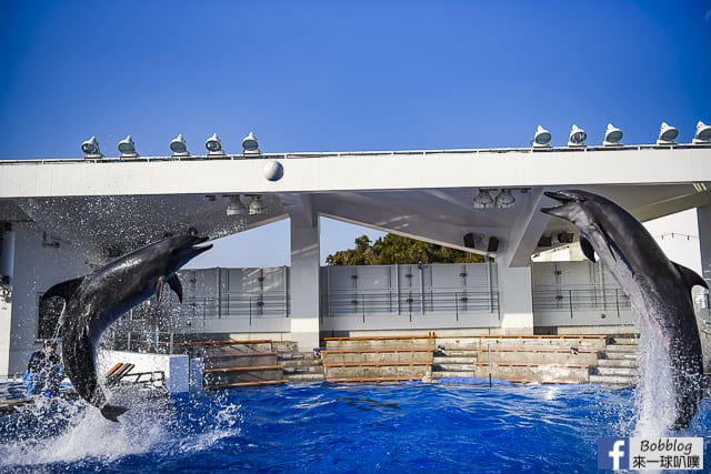 Kujukushima-Aquarium-Umikirara-46