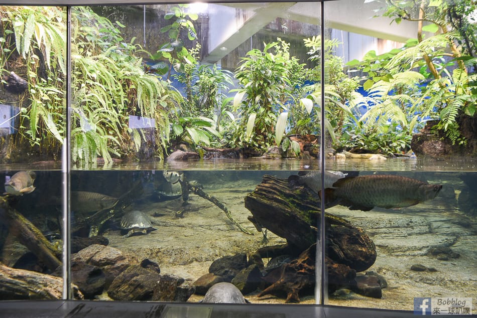 nagoya-aquarium-113