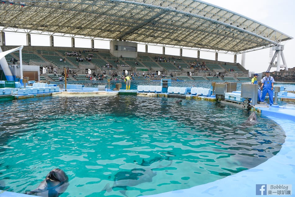 nagoya-aquarium-35