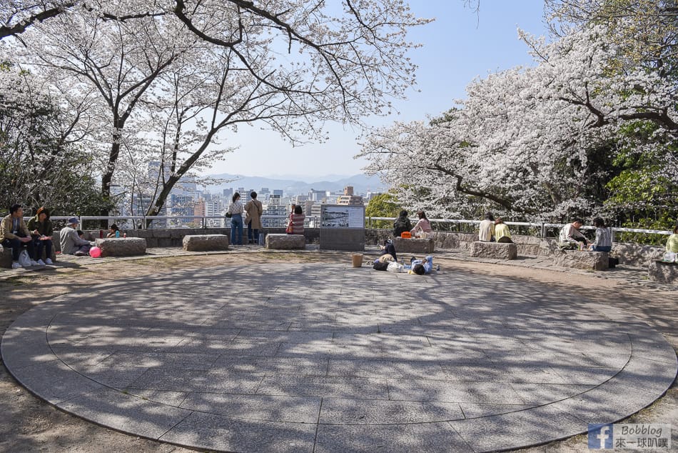 Hijiyama-park-Sakura-16