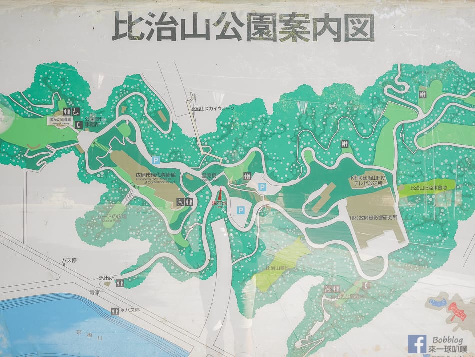 Hijiyama-park-Sakura-25