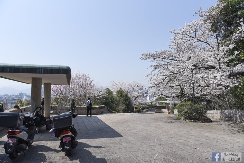Hijiyama-park-Sakura-7