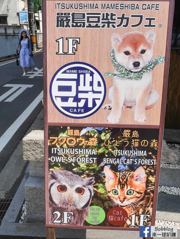 Miyajima-owls-cats-forest-14