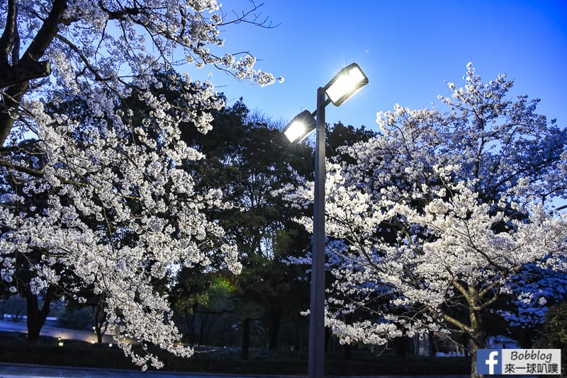 Hiroshima Peace Memorial Park-40