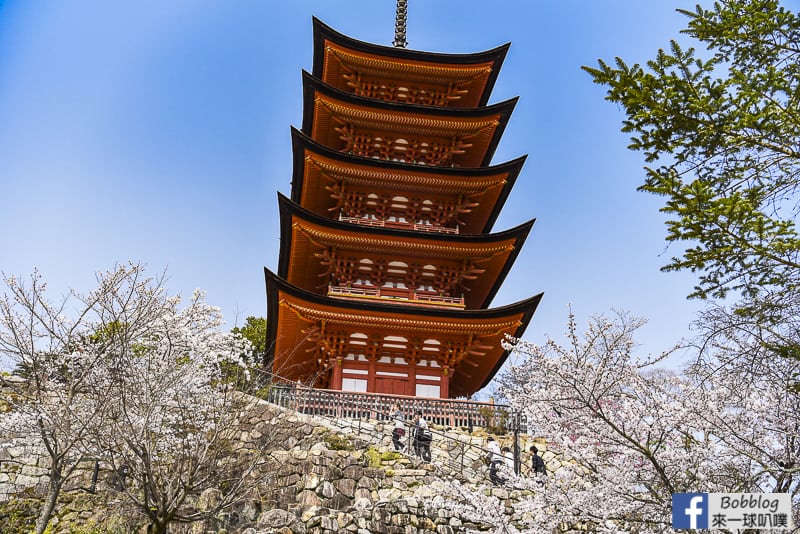 廣島宮島櫻花景點攻略 櫻花預測 大鳥居 嚴島神社 多寶塔 來一球叭噗