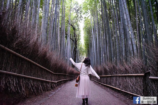 [京都嵐山]嵐山竹林小徑(超美竹林步道|嵐山人氣景點)