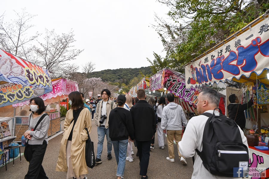 kyoto-maruyama-park-11