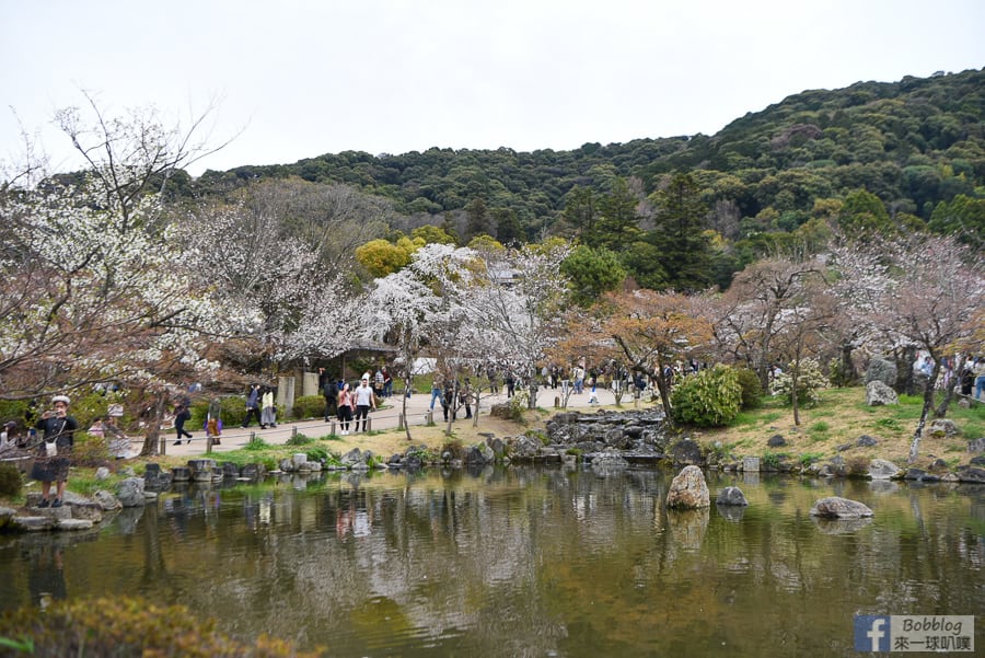 kyoto-maruyama-park-14