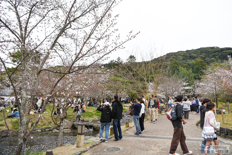 kyoto-maruyama-park-15