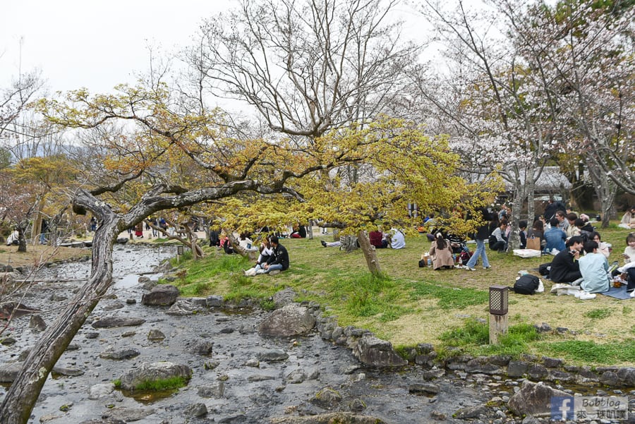 kyoto-maruyama-park-22