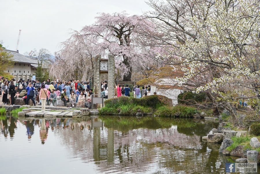 kyoto-maruyama-park-23