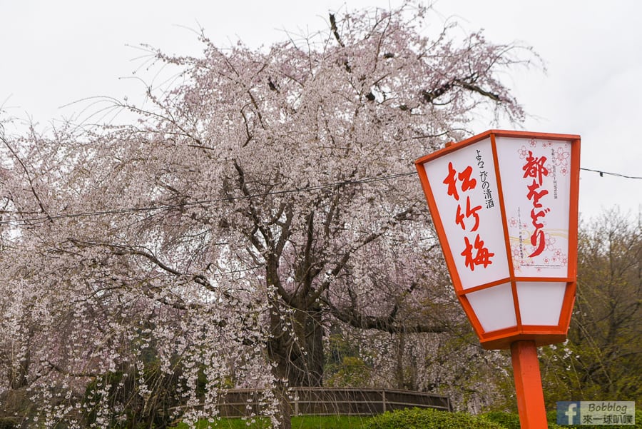 kyoto-maruyama-park-29