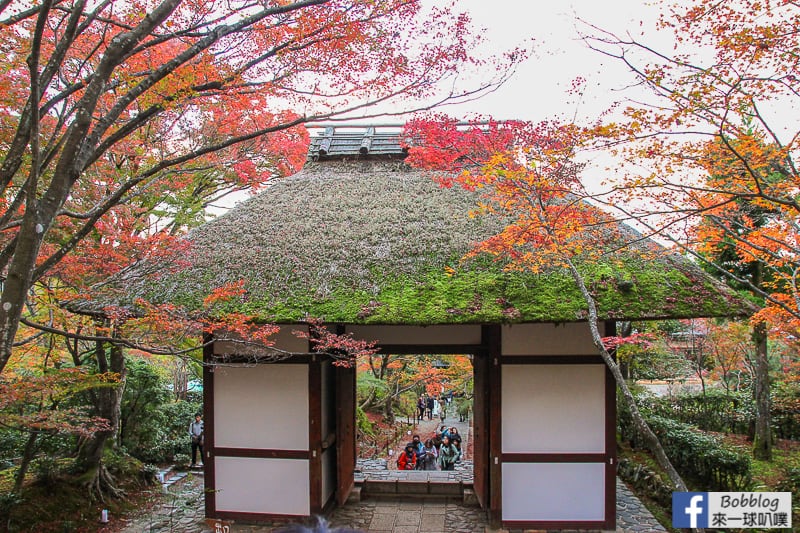 Jojakko-ji-Temple-8