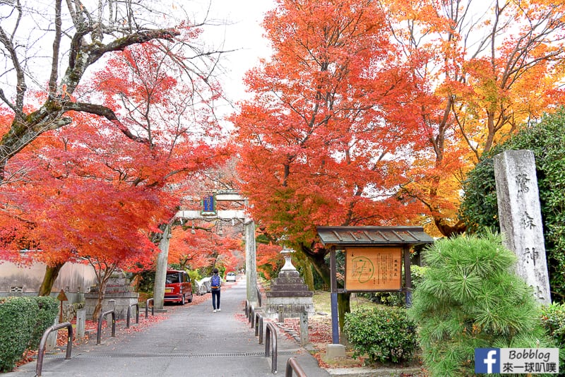 京都洛北賞楓景點｜鷺森神社(美麗楓葉步道)