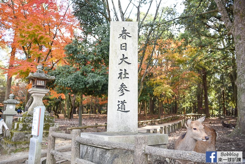 Kasuga-Taisha-Shrine