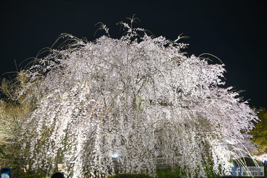 Maruyama-Park-17