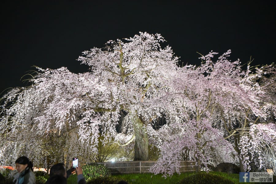 Maruyama-Park-25