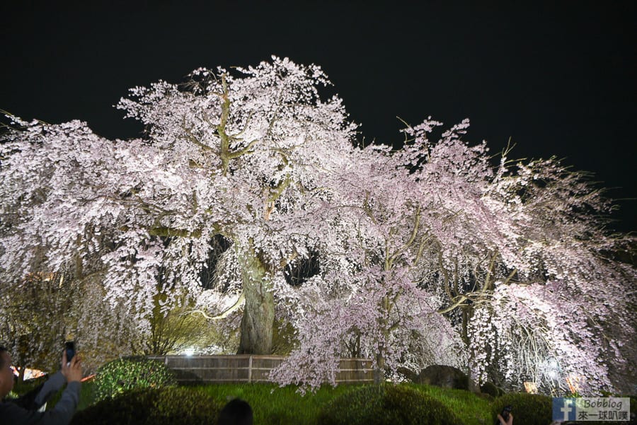 Maruyama-Park-26