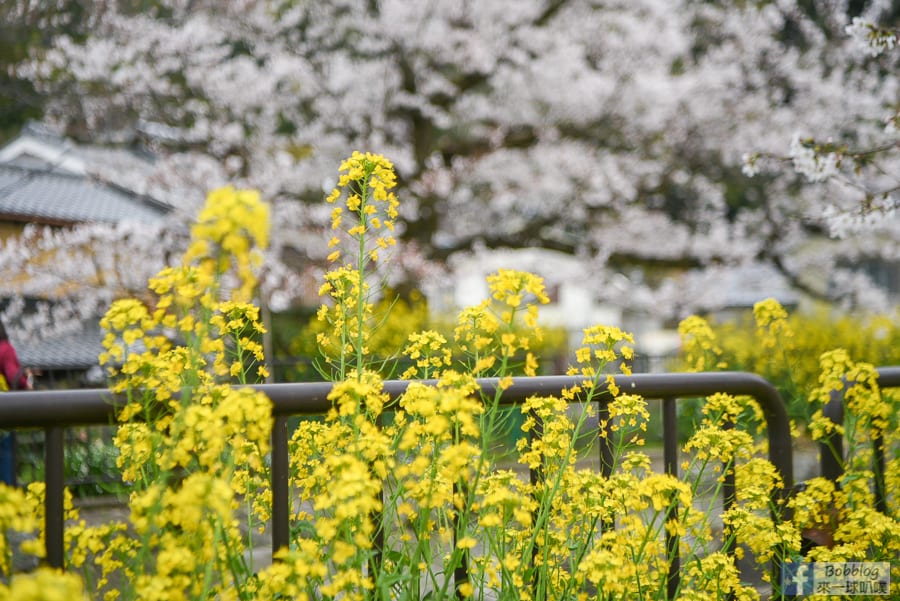 Yamashina-Canal-11