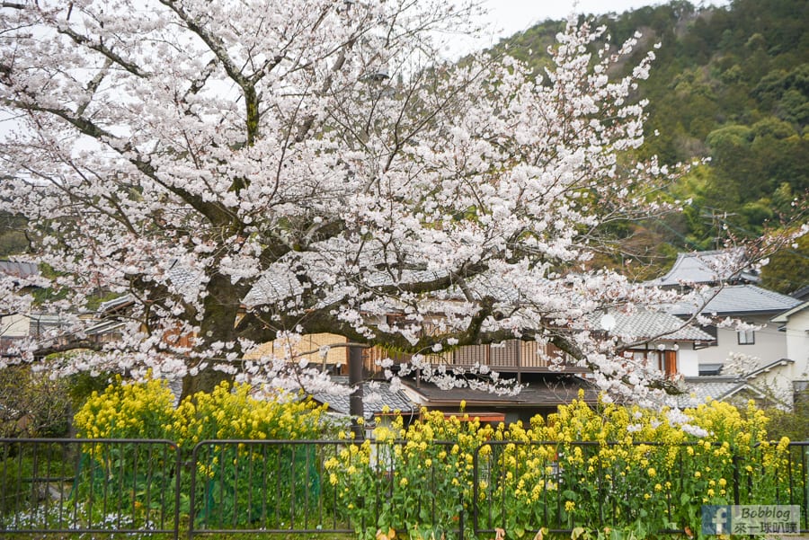 Yamashina-Canal-12