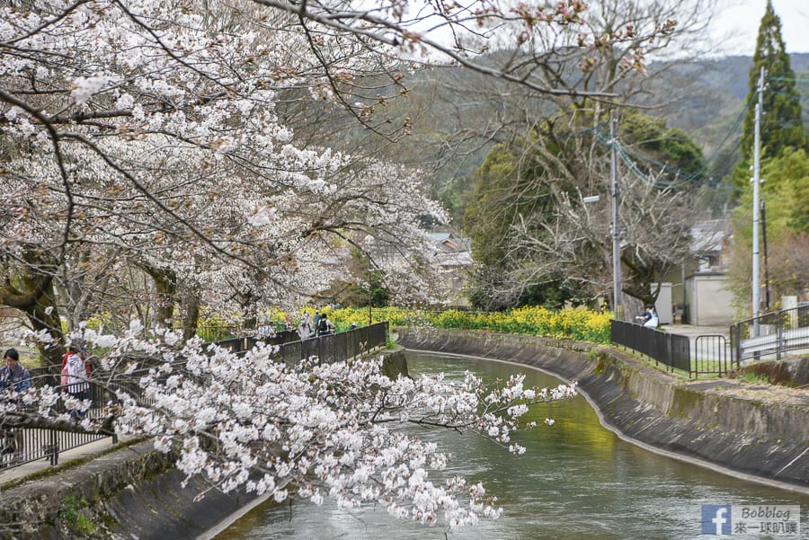 Yamashina-Canal-17