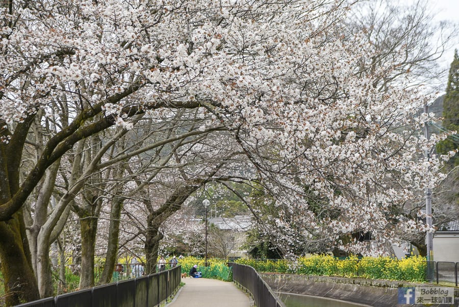 Yamashina-Canal-18