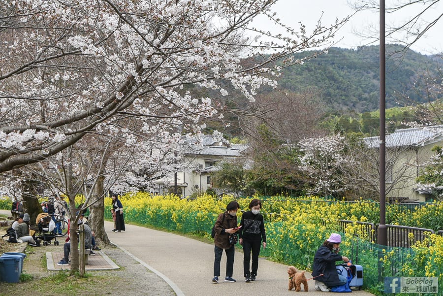 Yamashina-Canal-19