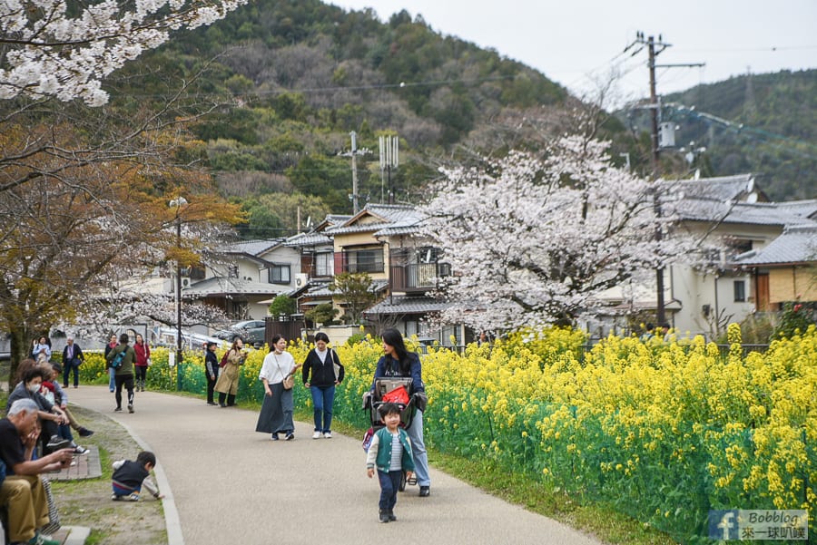 Yamashina-Canal-20