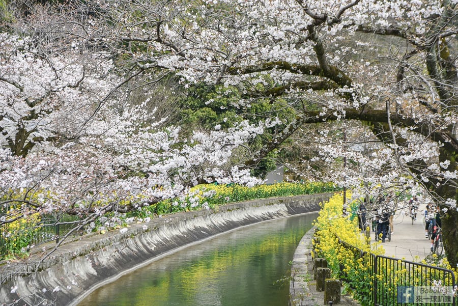 Yamashina-Canal-7