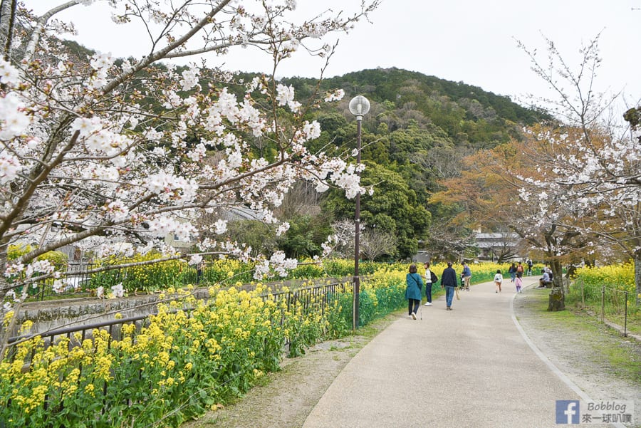 Yamashina-Canal-8