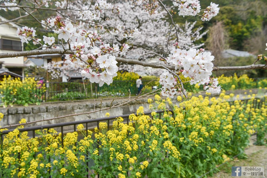 Yamashina-Canal-9