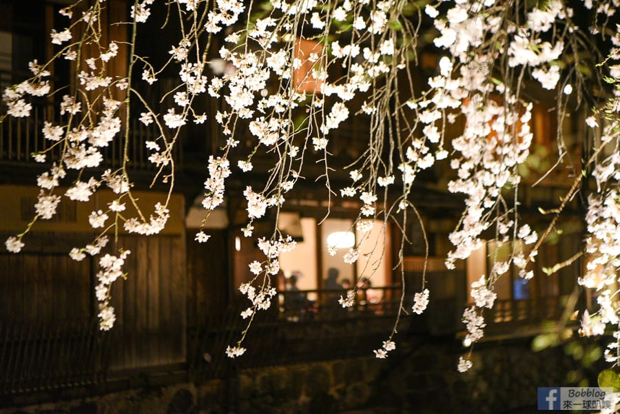 gion-night-sakura-10