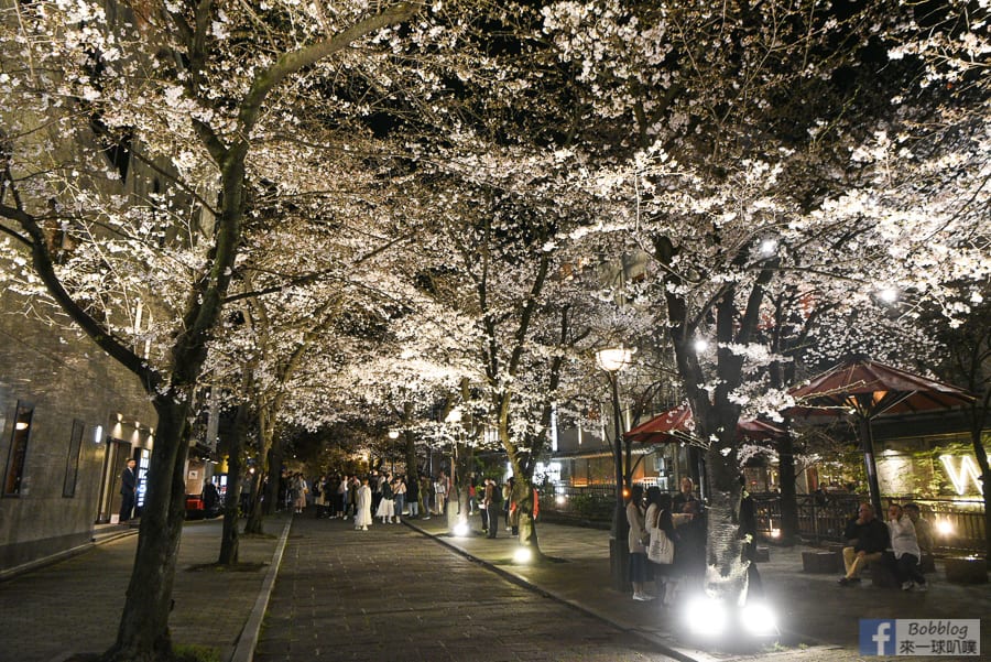 gion-night-sakura-16