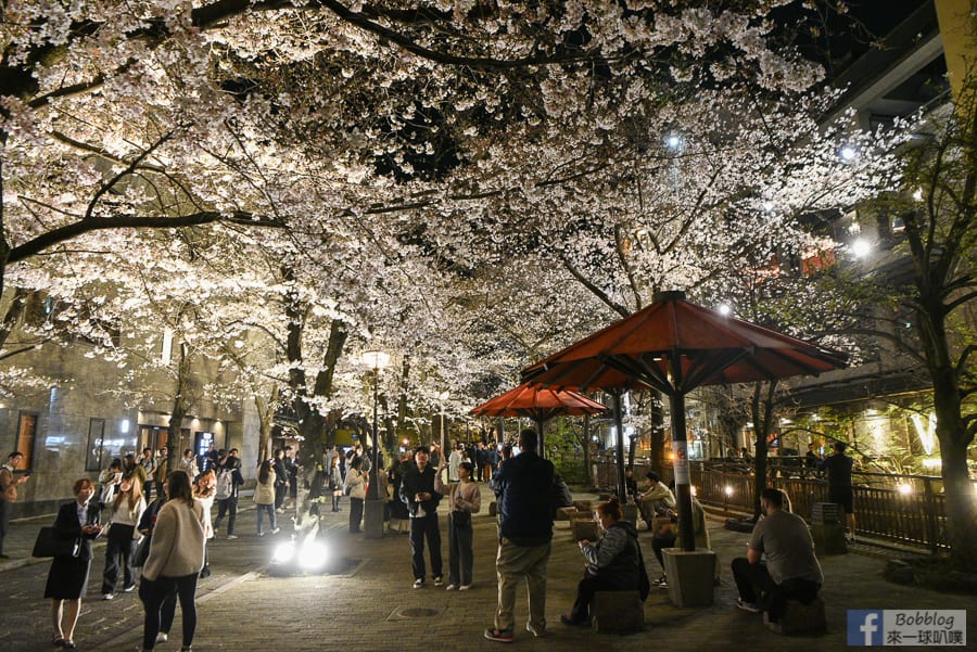 gion-night-sakura-21