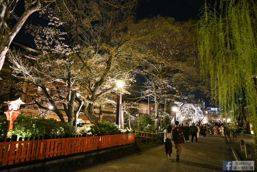 gion-night-sakura-5