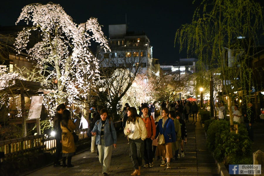 gion-night-sakura-7