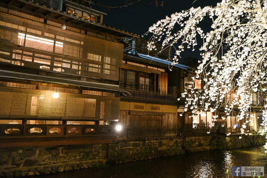 gion-night-sakura-9