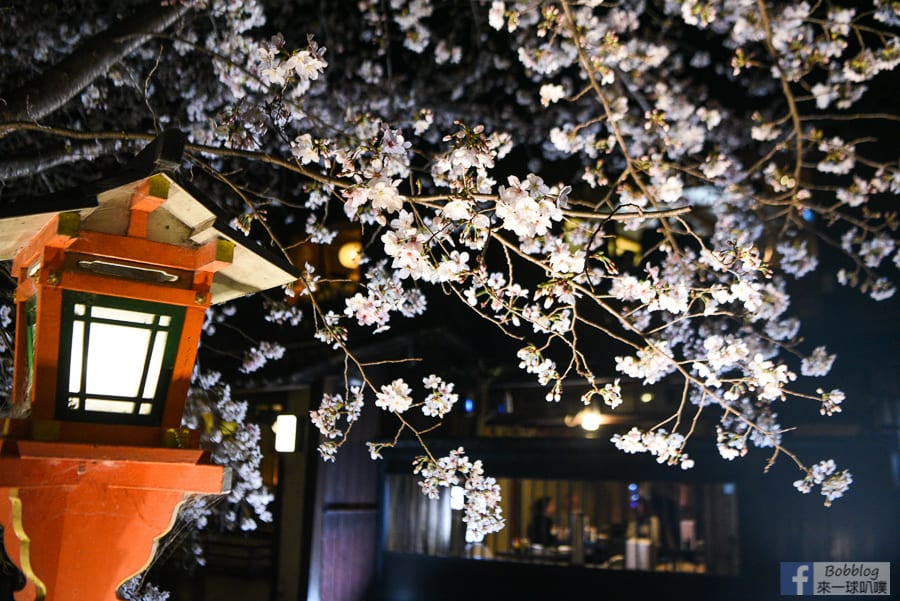 gion-night-sakura