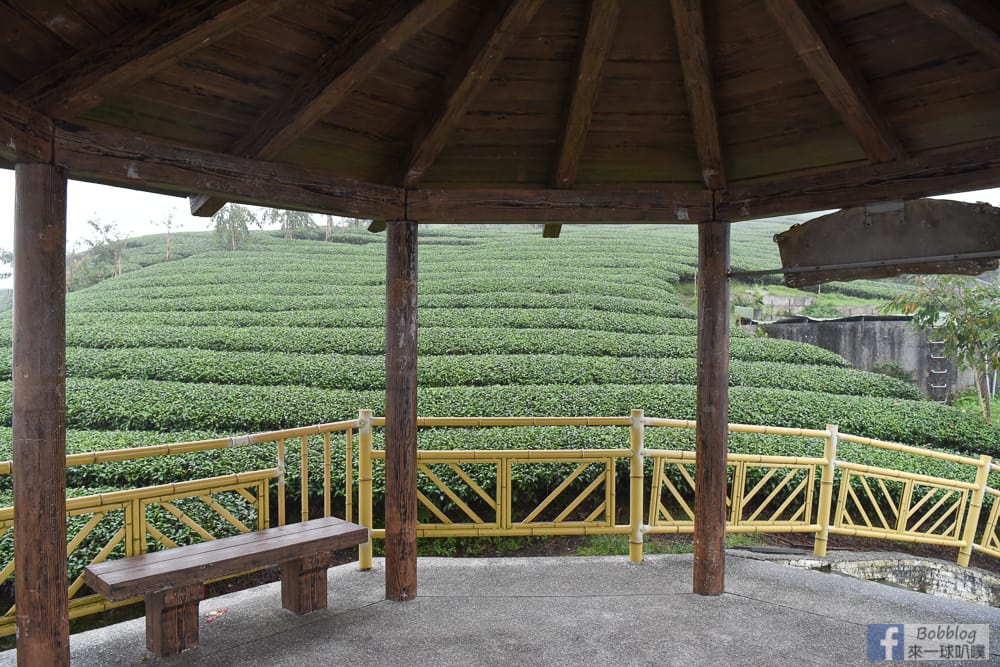 Bagua-Tea-Garden-13