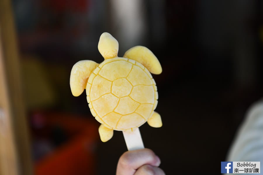 turtle-popsicle-4