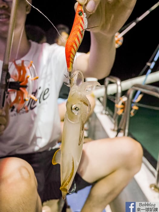 Fishing neritice squide 37