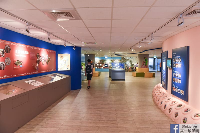 penghu-ocean-resources-museum-5