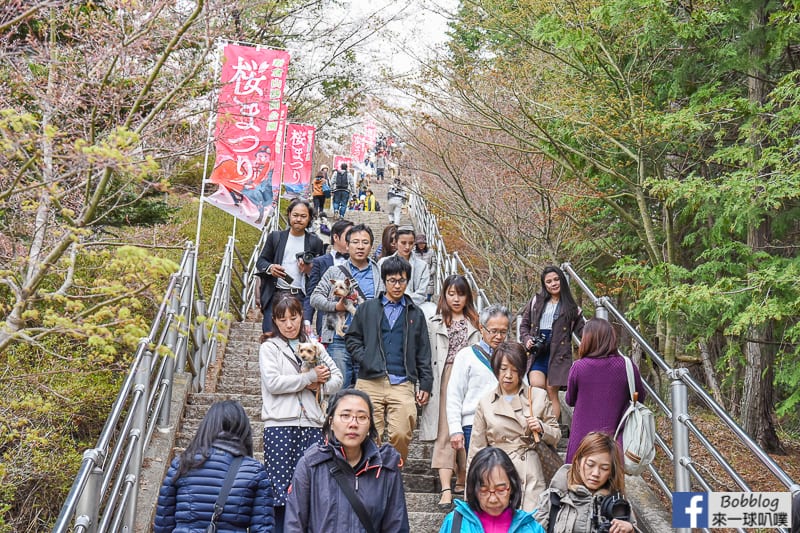Arakurayama Sengen Park-21