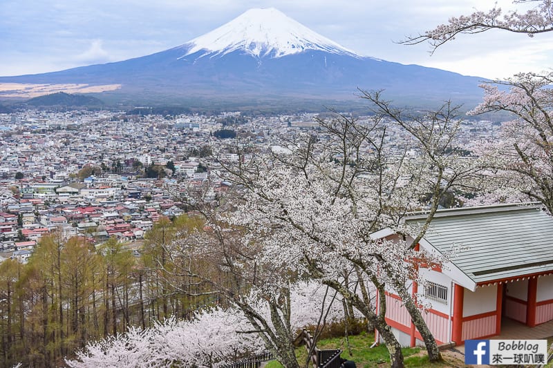 Arakurayama Sengen Park-27