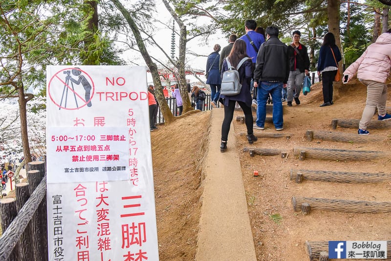Arakurayama Sengen Park-34