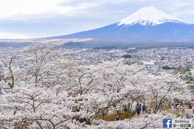 Arakurayama Sengen Park-41